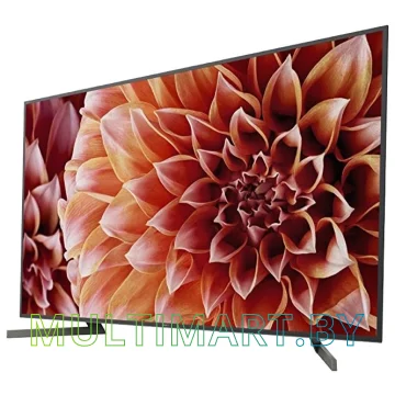 Телевизор Sony KD-75XF9005 картинка 3